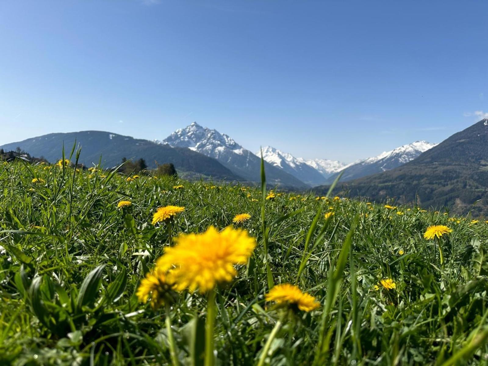 Hotel Restaurant Gruenwalderhof Patsch ภายนอก รูปภาพ